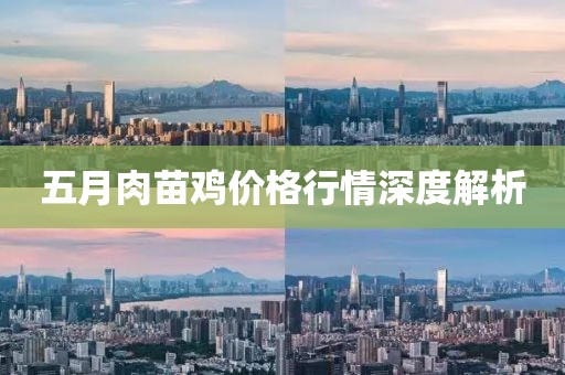 五月肉苗鸡价格行情深度解析