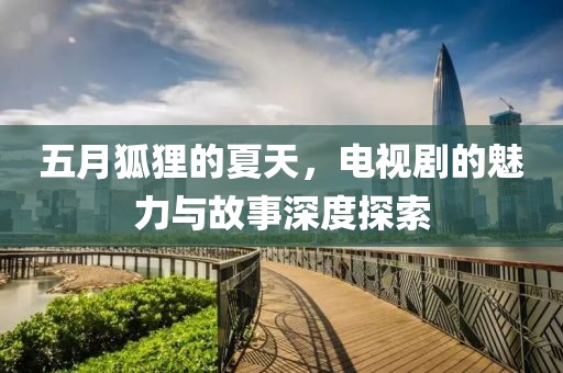 五月狐狸的夏天，电视剧的魅力与故事深度探索