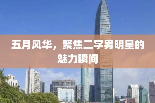 五月风华，聚焦二字男明星的魅力瞬间