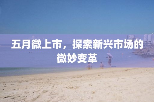 五月微上市，探索新兴市场的微妙变革