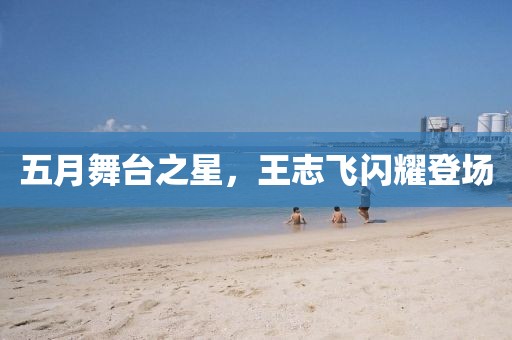 五月舞台之星，王志飞闪耀登场