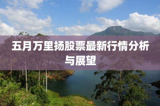 五月万里扬股票最新行情分析与展望
