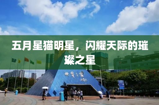 五月星猫明星，闪耀天际的璀璨之星