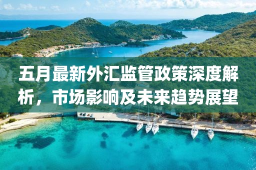 五月最新外汇监管政策深度解析，市场影响及未来趋势展望