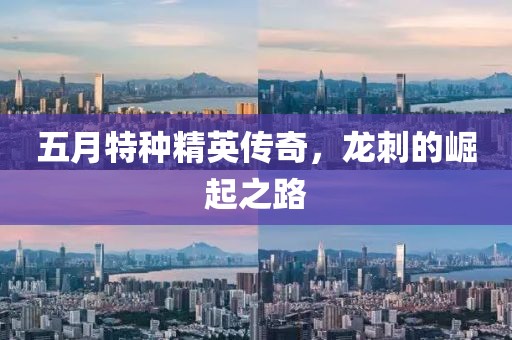五月特种精英传奇，龙刺的崛起之路