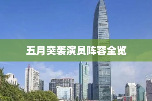 五月突袭演员阵容全览