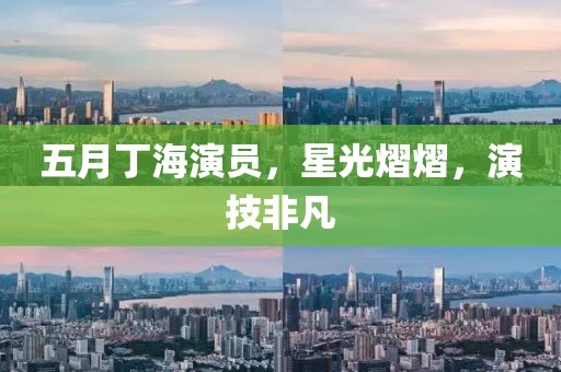 五月丁海演员，星光熠熠，演技非凡