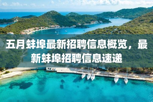 五月蚌埠最新招聘信息概览，最新蚌埠招聘信息速递