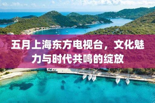 五月上海东方电视台，文化魅力与时代共鸣的绽放