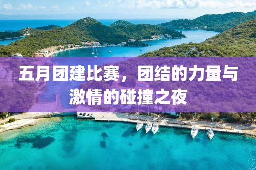 五月团建比赛，团结的力量与激情的碰撞之夜