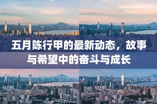 五月陈行甲的最新动态，故事与希望中的奋斗与成长