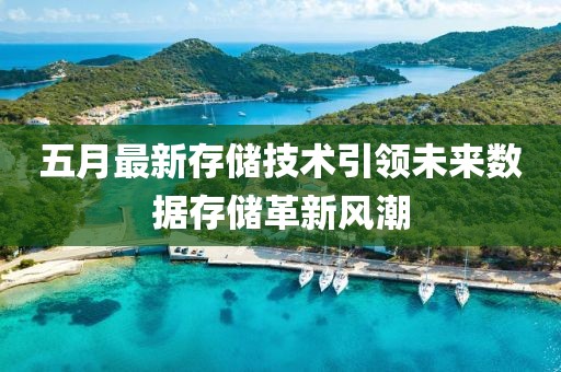 五月最新存储技术引领未来数据存储革新风潮