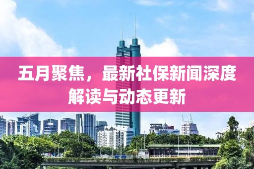 五月聚焦，最新社保新闻深度解读与动态更新
