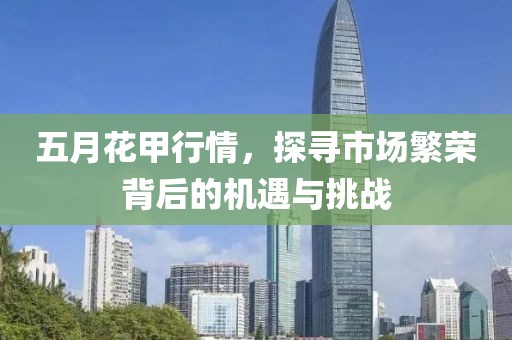 五月花甲行情，探寻市场繁荣背后的机遇与挑战