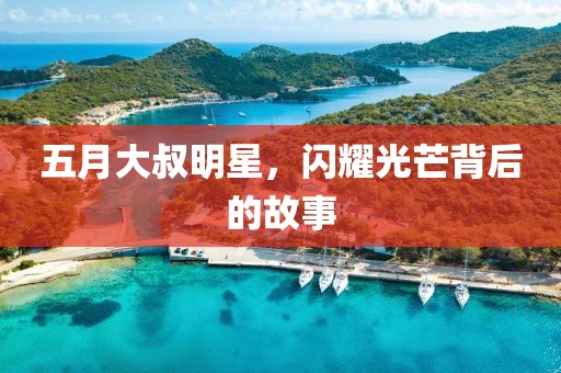 五月大叔明星，闪耀光芒背后的故事