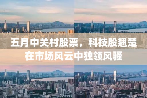 五月中关村股票，科技股翘楚在市场风云中独领风骚