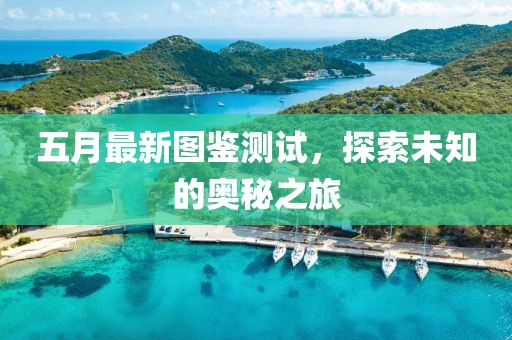 五月最新图鉴测试，探索未知的奥秘之旅