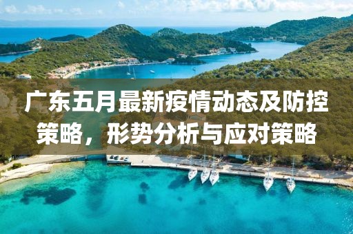 广东五月最新疫情动态及防控策略，形势分析与应对策略