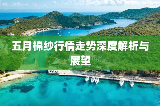 五月棉纱行情走势深度解析与展望