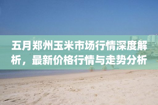 五月郑州玉米市场行情深度解析，最新价格行情与走势分析