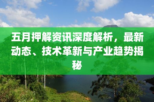 五月押解资讯深度解析，最新动态、技术革新与产业趋势揭秘