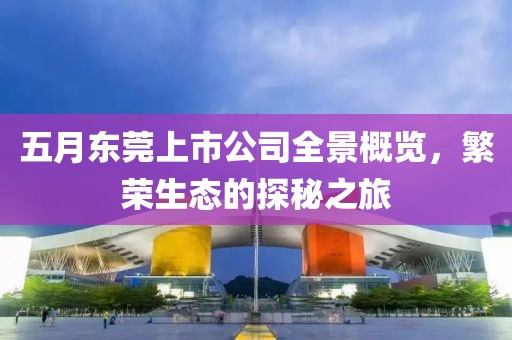 五月东莞上市公司全景概览，繁荣生态的探秘之旅