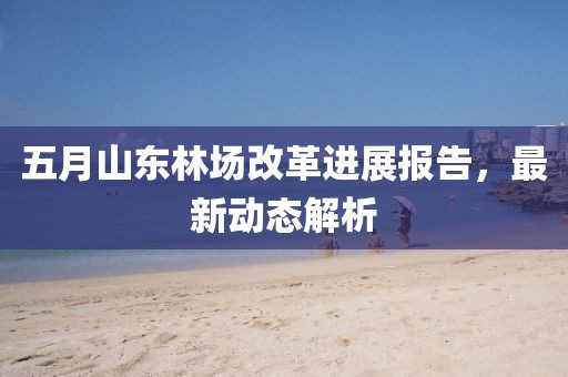 五月山东林场改革进展报告，最新动态解析