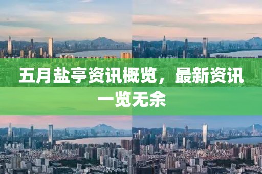 五月盐亭资讯概览，最新资讯一览无余