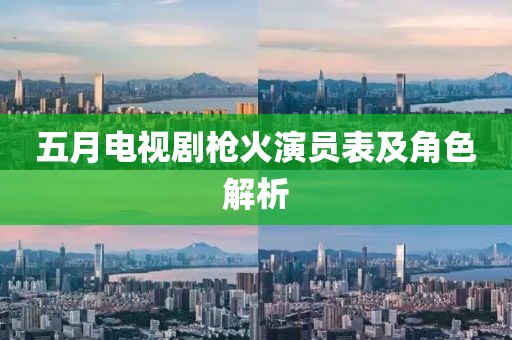 五月电视剧枪火演员表及角色解析