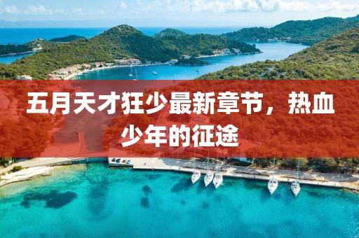 五月天才狂少最新章节，热血少年的征途