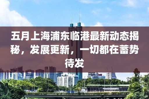 五月上海浦东临港最新动态揭秘，发展更新，一切都在蓄势待发