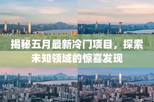 揭秘五月最新冷门项目，探索未知领域的惊喜发现