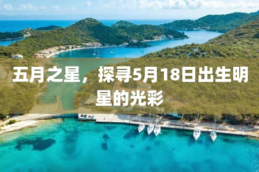 五月之星，探寻5月18日出生明星的光彩