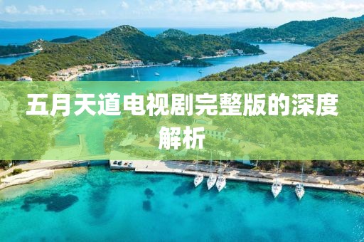 五月天道电视剧完整版的深度解析