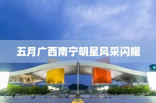 五月广西南宁明星风采闪耀