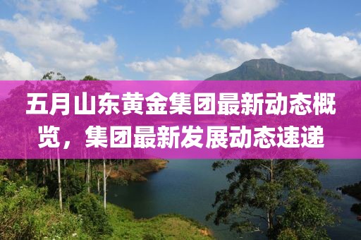 五月山东黄金集团最新动态概览，集团最新发展动态速递