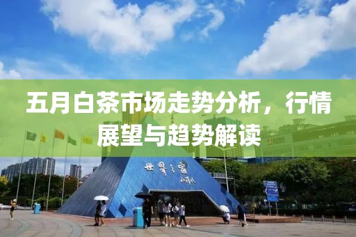 五月白茶市场走势分析，行情展望与趋势解读