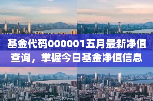 基金代码000001五月最新净值查询，掌握今日基金净值信息