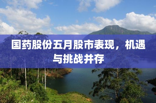 国药股份五月股市表现，机遇与挑战并存