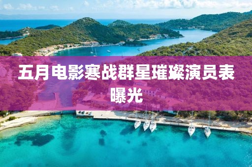 五月电影寒战群星璀璨演员表曝光