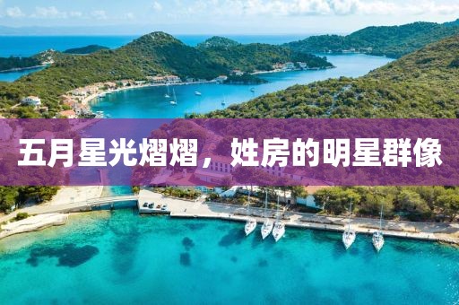 五月星光熠熠，姓房的明星群像