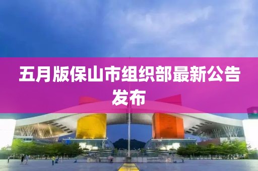 五月版保山市组织部最新公告发布