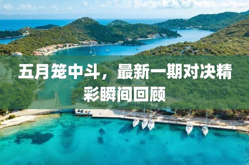 五月笼中斗，最新一期对决精彩瞬间回顾