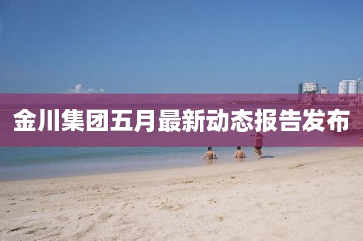 金川集团五月最新动态报告发布