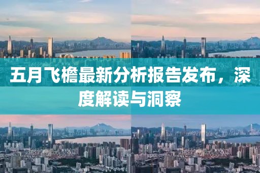 五月飞檐最新分析报告发布，深度解读与洞察