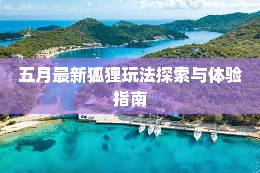 五月最新狐狸玩法探索与体验指南