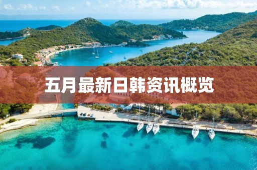 五月最新日韩资讯概览