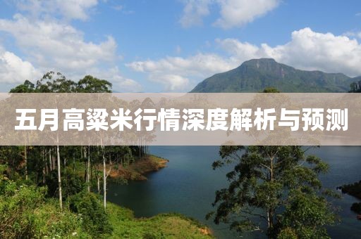 五月高粱米行情深度解析与预测
