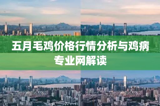 五月毛鸡价格行情分析与鸡病专业网解读