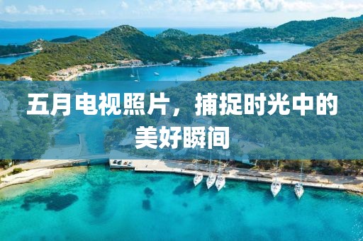 五月电视照片，捕捉时光中的美好瞬间